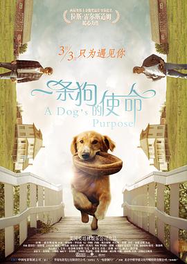 国产精品永久